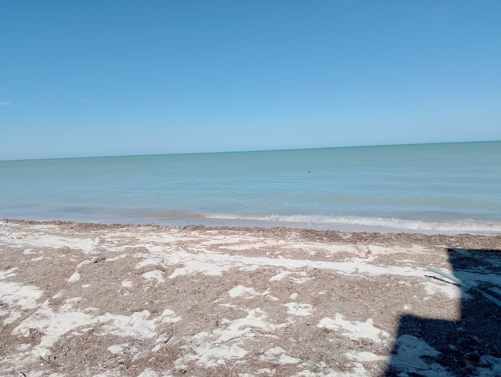 Venta terreno San Benito, Yucatán
